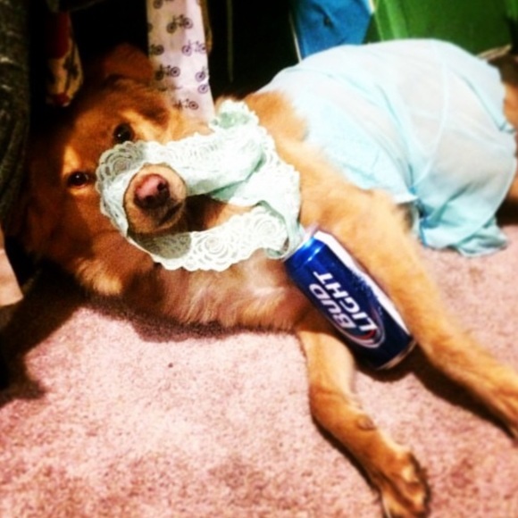 mystery prize box from DeeOgee ( D O G) customized to you . - Picture 11 of 11